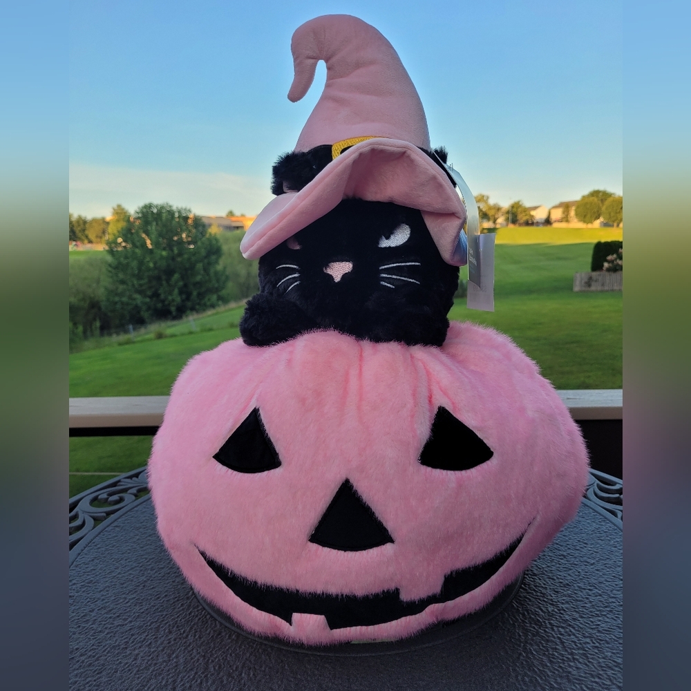 Pink Pumpkin with Black Cat Plush